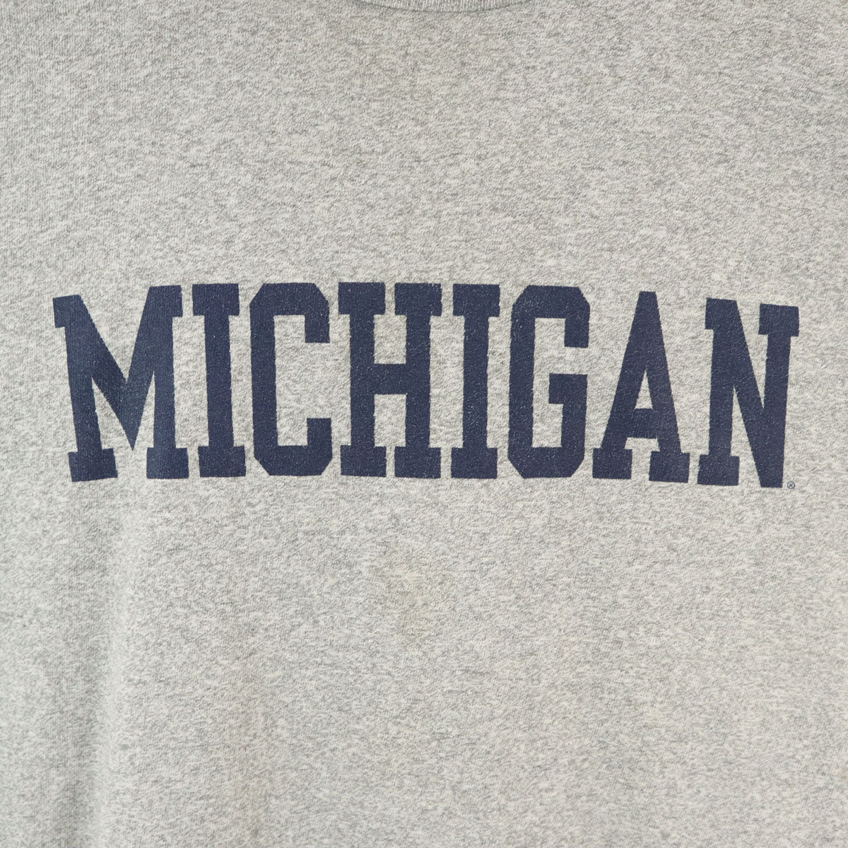 The Cotton Exchange ザコットンエクスチェンジ 90s USA製 オールド ミシガン 半袖 Tシャツ XL グレー シングルステッチ メンズ