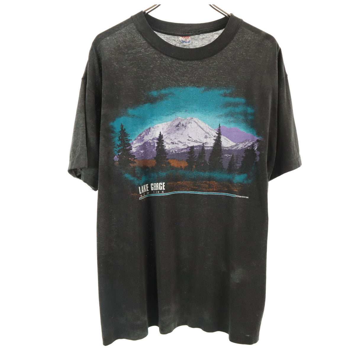 NATIONAL 90s USA製 オールド ニューヨーク ジョージ湖 プリント 半袖 Tシャツ XL チャコールグレー シングルステッチ メンズ