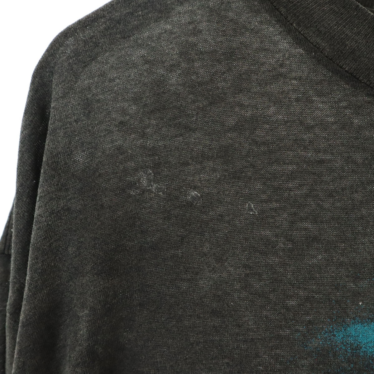 NATIONAL 90s USA製 オールド ニューヨーク ジョージ湖 プリント 半袖 Tシャツ XL チャコールグレー シングルステッチ メンズ