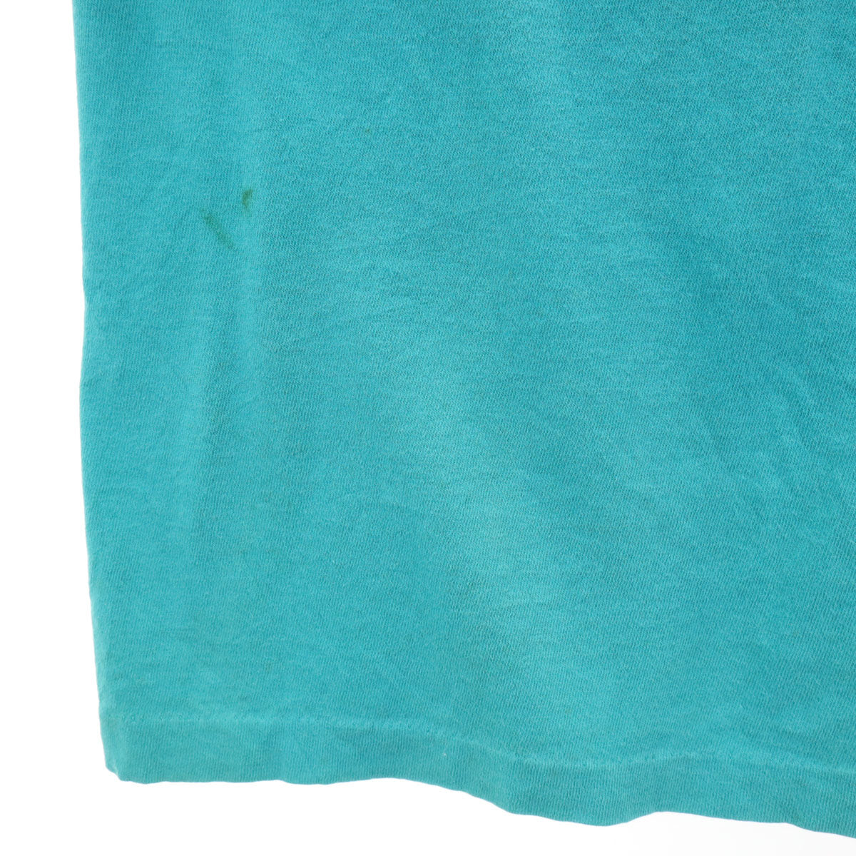FRUIT OF THE LOOM フルーツオブザルーム 90s USA製 オールド バスプロショップ 半袖 Tシャツ L グリーン系 シングルステッチ メンズ