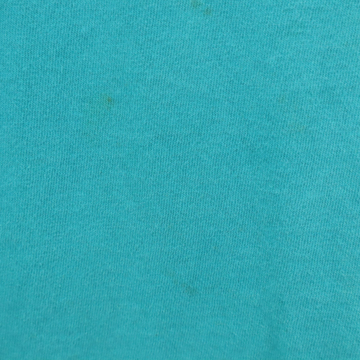 FRUIT OF THE LOOM フルーツオブザルーム 90s USA製 オールド バスプロショップ 半袖 Tシャツ L グリーン系 シングルステッチ メンズ