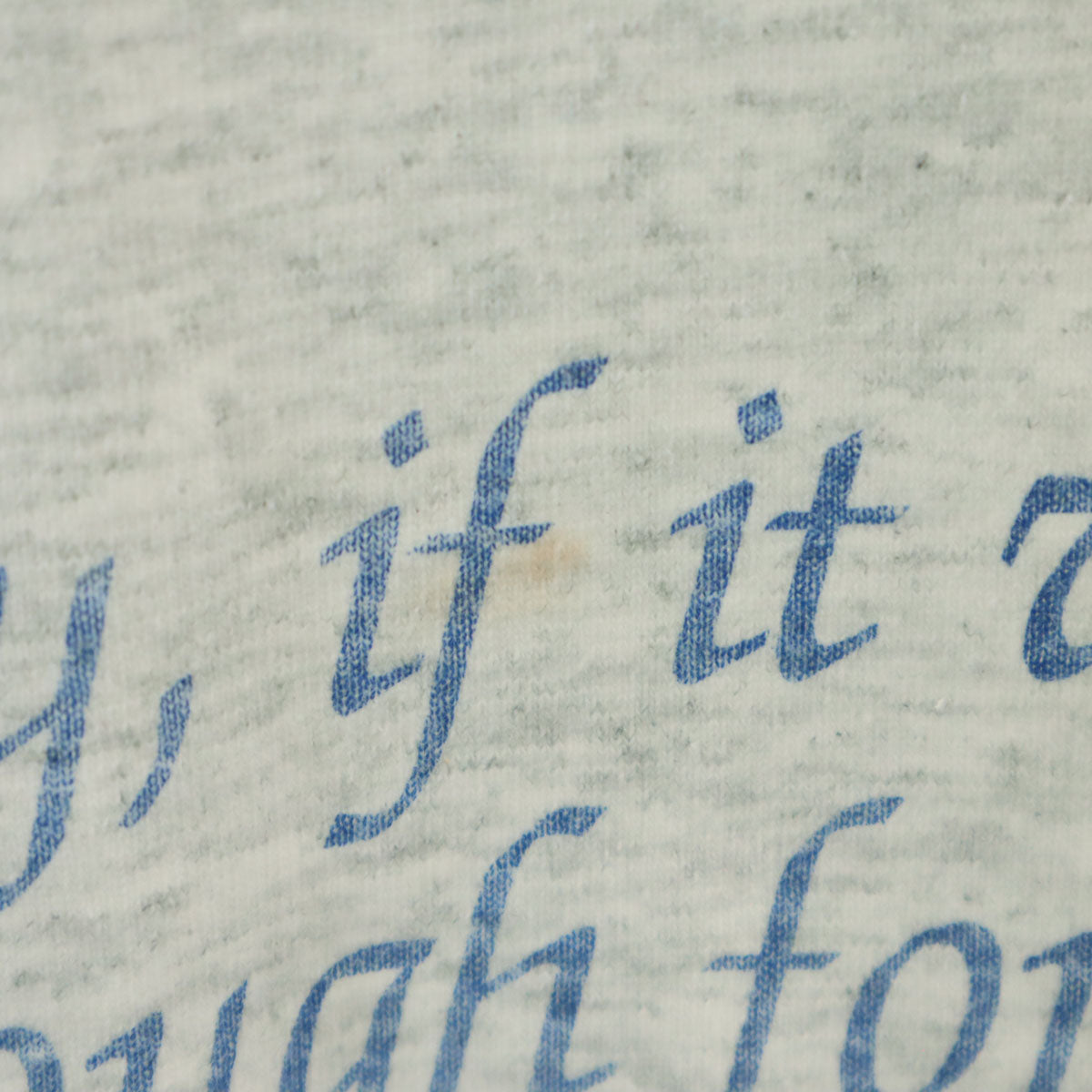 FRUIT OF THE LOOM BEST フルーツオブザルーム ベスト 90s USA製 オールド ノアの箱舟 アニマルプリント 半袖 Tシャツ XXL グレー シングルステッチ ビッグサイズ メンズ