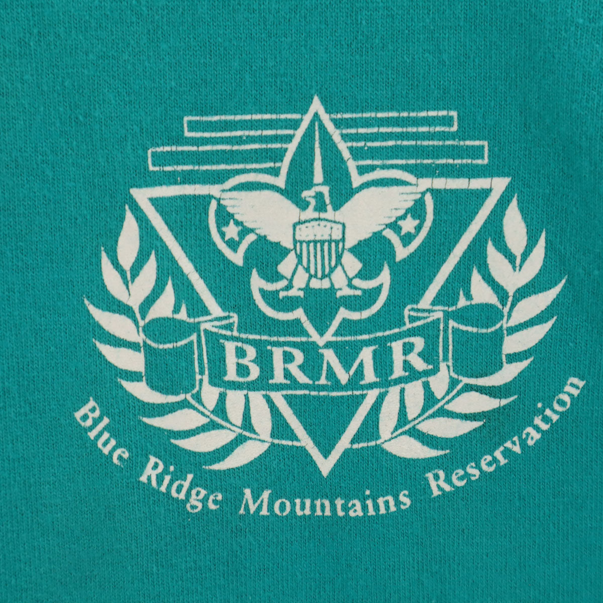 FRUIT OF THE LOOM フルーツオブザルーム 90s USA製 オールド 半袖 Tシャツ XXL グリーン系 ビックサイズ シングルステッチ メンズ