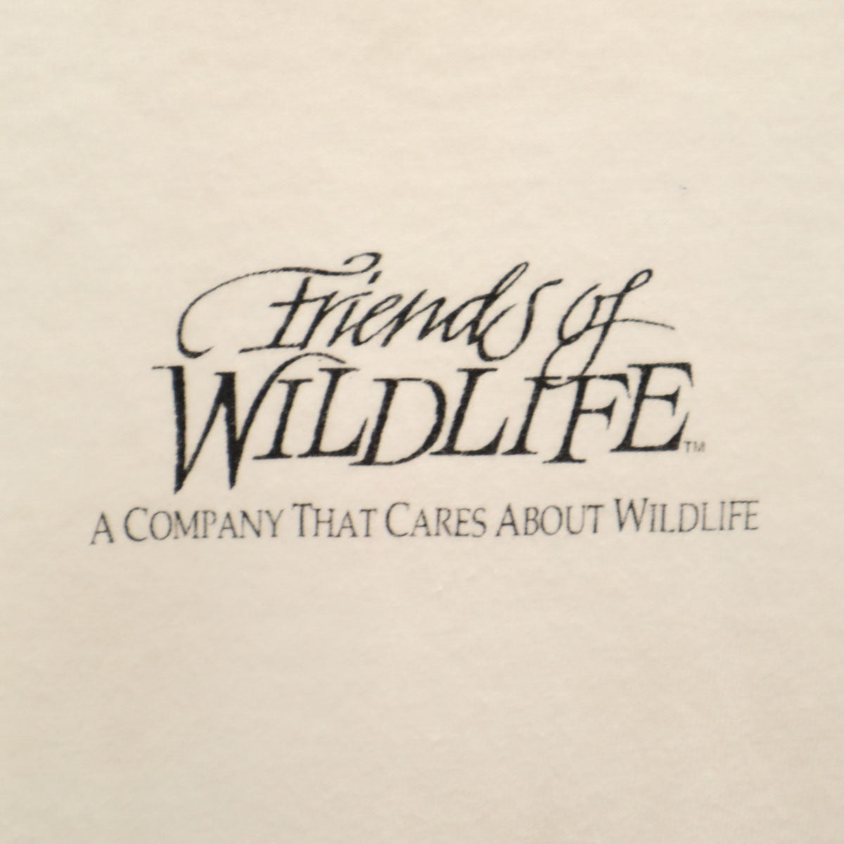 Hanes ヘインズ 90s USA製 BEEFY-T オールド プリント 半袖 Tシャツ XL ホワイト シングルステッチ メンズ