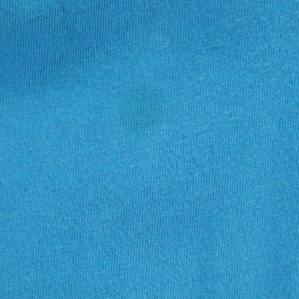 Hanes ヘインズ 90s USA製 オールド Day Camp 半袖 Tシャツ XXL 水色 シングルステッチ BEEFY-T ビッグサイズ メンズ