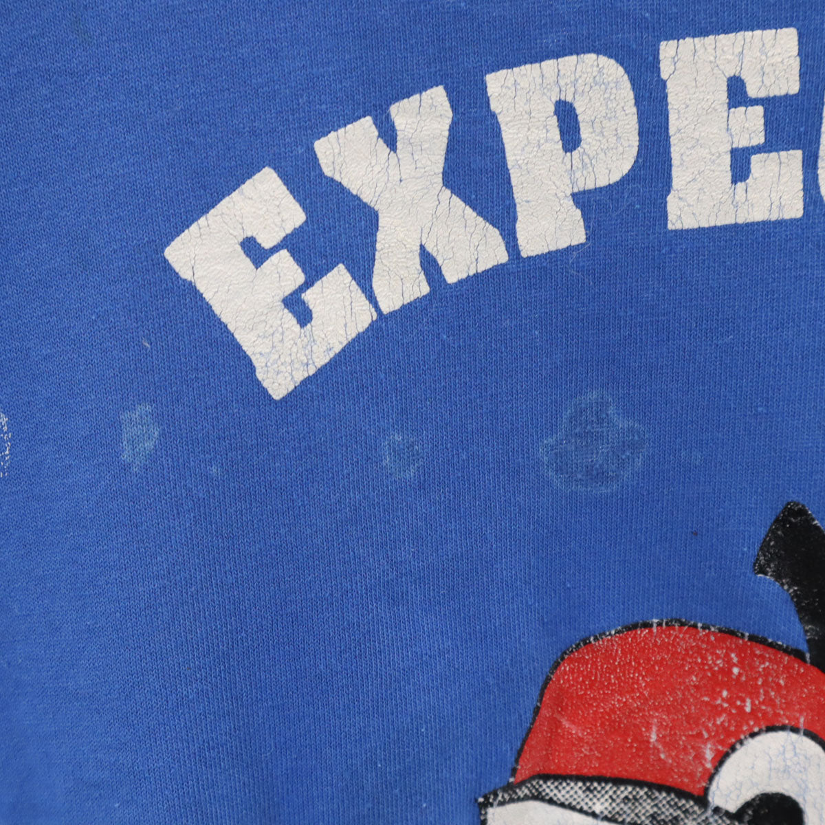 Hanes ヘインズ 90s USA製 オールド EXPECT Thelen BEST アップル プリント 半袖 Tシャツ L ブルー シングルステッチ メンズ