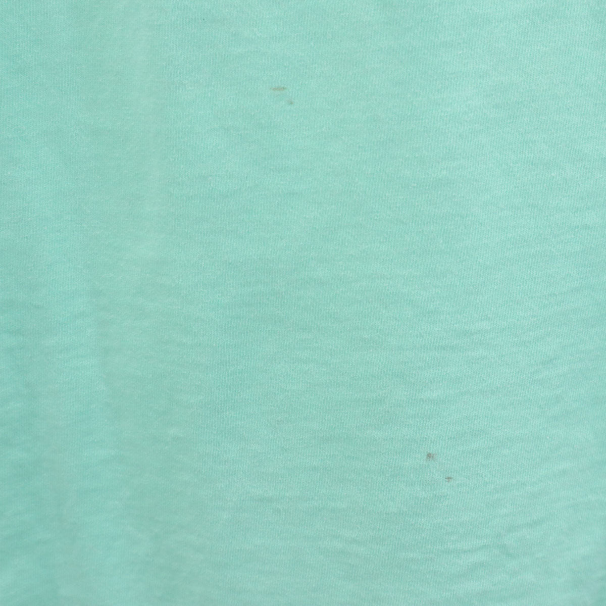 OLD オールド 90s バックプリント ダイビング オクトパス 半袖 Tシャツ XL ミント系 シングルステッチ 蛸 亀 メンズ