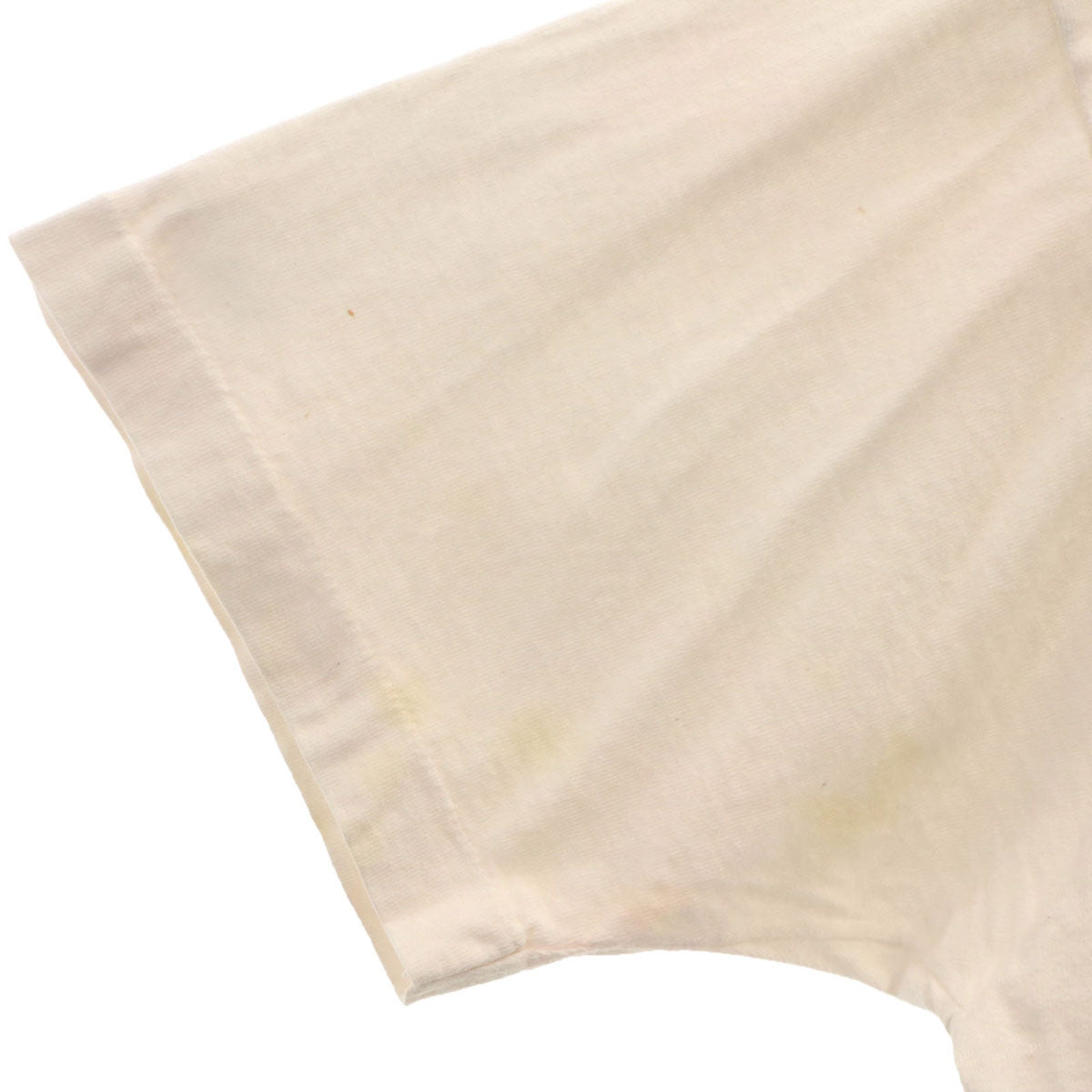 FRUIT OF THE LOOM フルーツオブザルーム 90s USA製 オールド バックプリント エレファント 半袖 Tシャツ XL ホワイト シングルステッチ 象 馬 アニマル メンズ