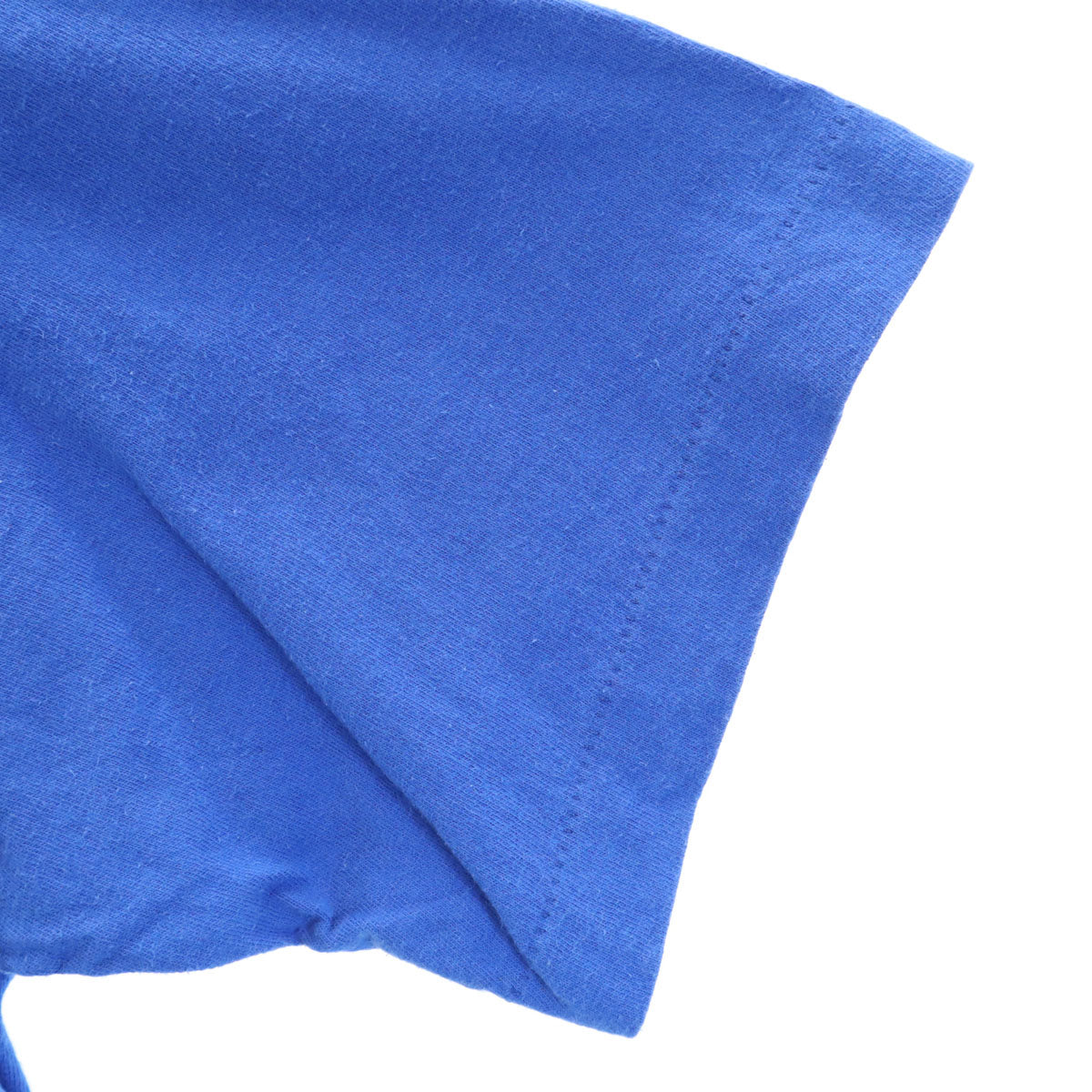 FRUIT OF THE LOOM フルーツオブザルーム 90s USA製 オールド DUPONT PANTHERS 半袖 Tシャツ M ブルー シングルステッチ アニマル メンズ