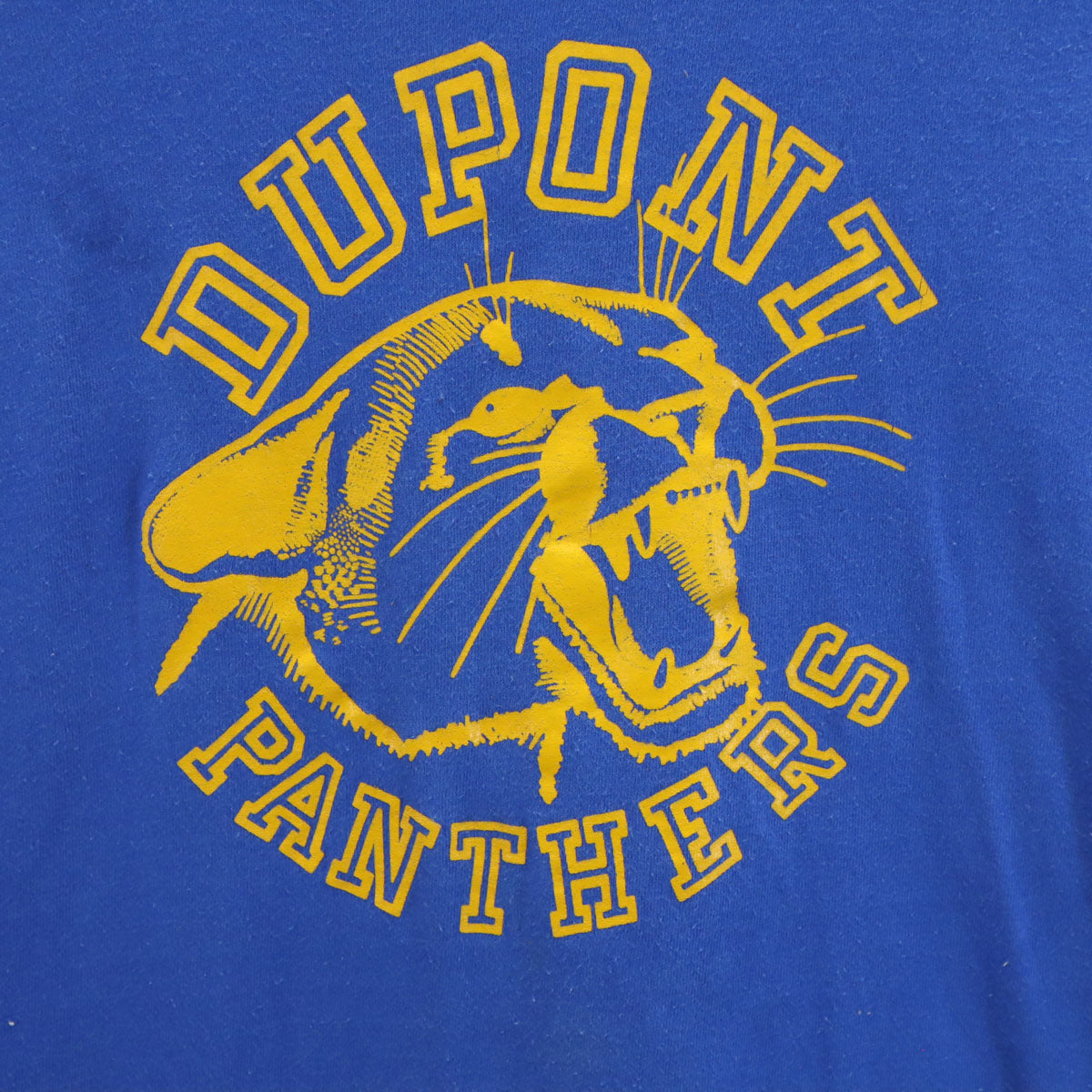FRUIT OF THE LOOM フルーツオブザルーム 90s USA製 オールド DUPONT PANTHERS 半袖 Tシャツ M ブルー シングルステッチ アニマル メンズ