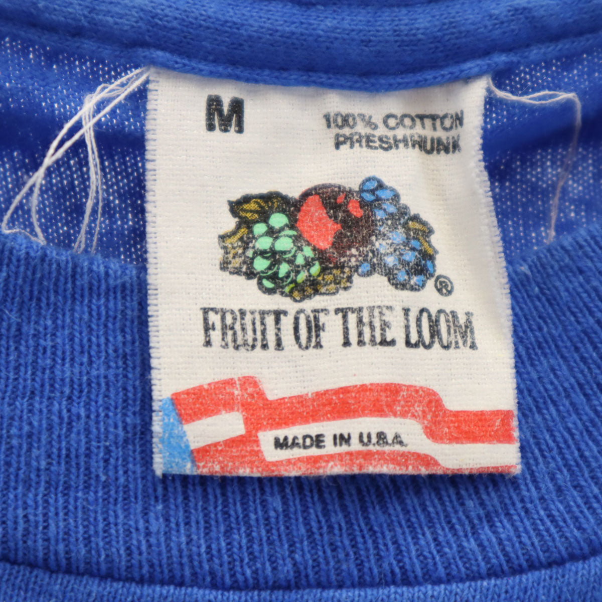 FRUIT OF THE LOOM フルーツオブザルーム 90s USA製 オールド DUPONT PANTHERS 半袖 Tシャツ M ブルー シングルステッチ アニマル メンズ