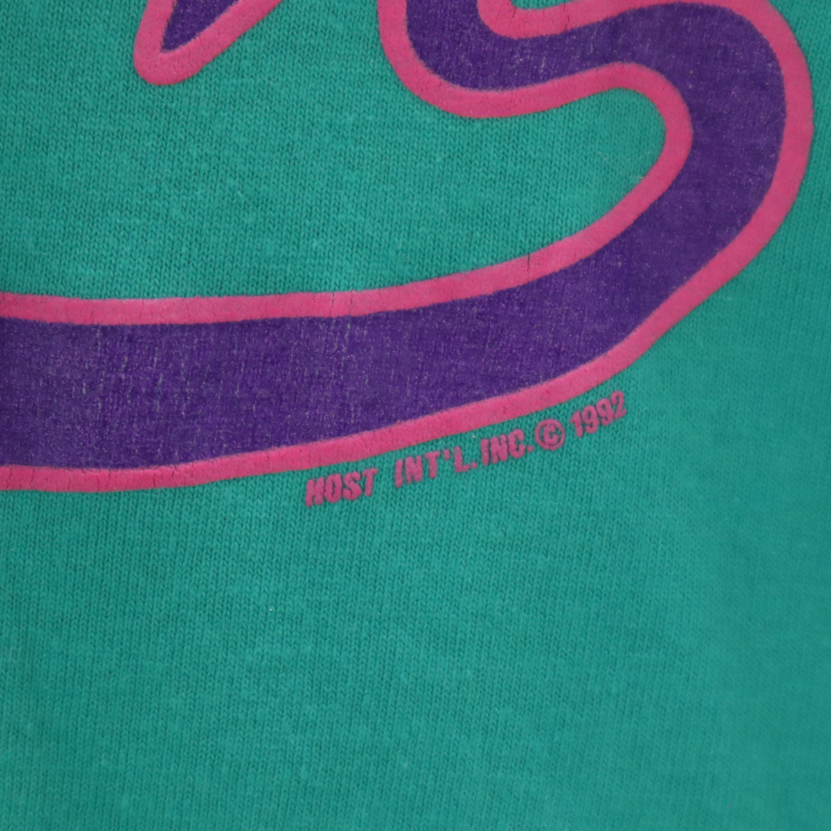 FRUIT OF THE LOOM フルーツオブザルーム 90s USA製 オールド 半袖 Tシャツ L グリーン系 シングルステッチ メンズ