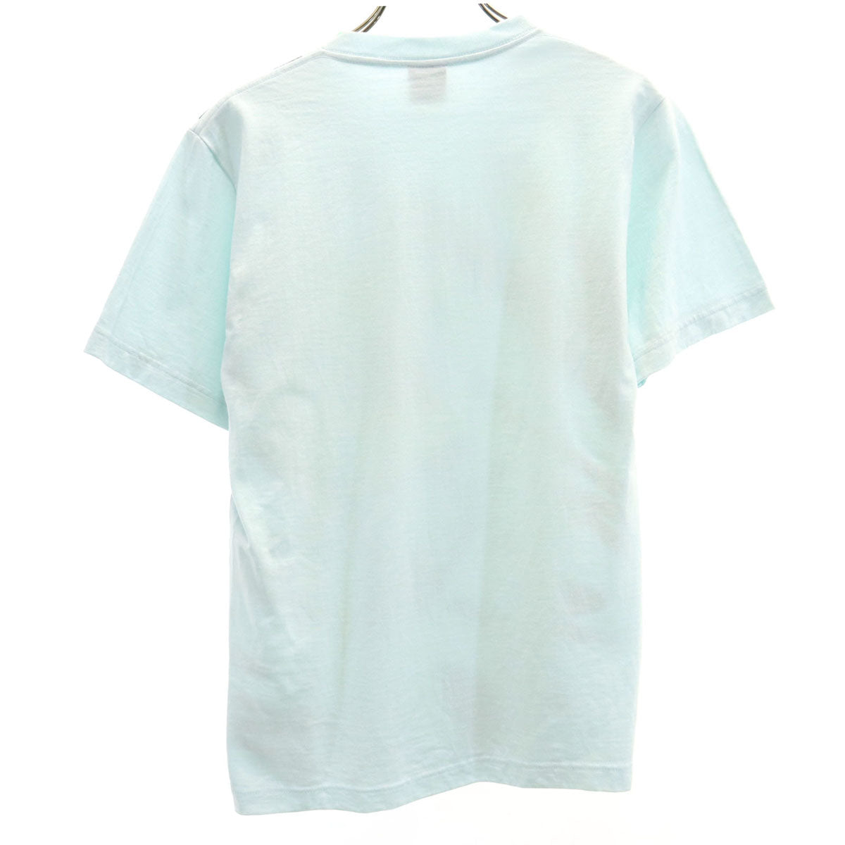 STUSSY ステューシー プリント 半袖 Tシャツ S ライトブルー メンズ