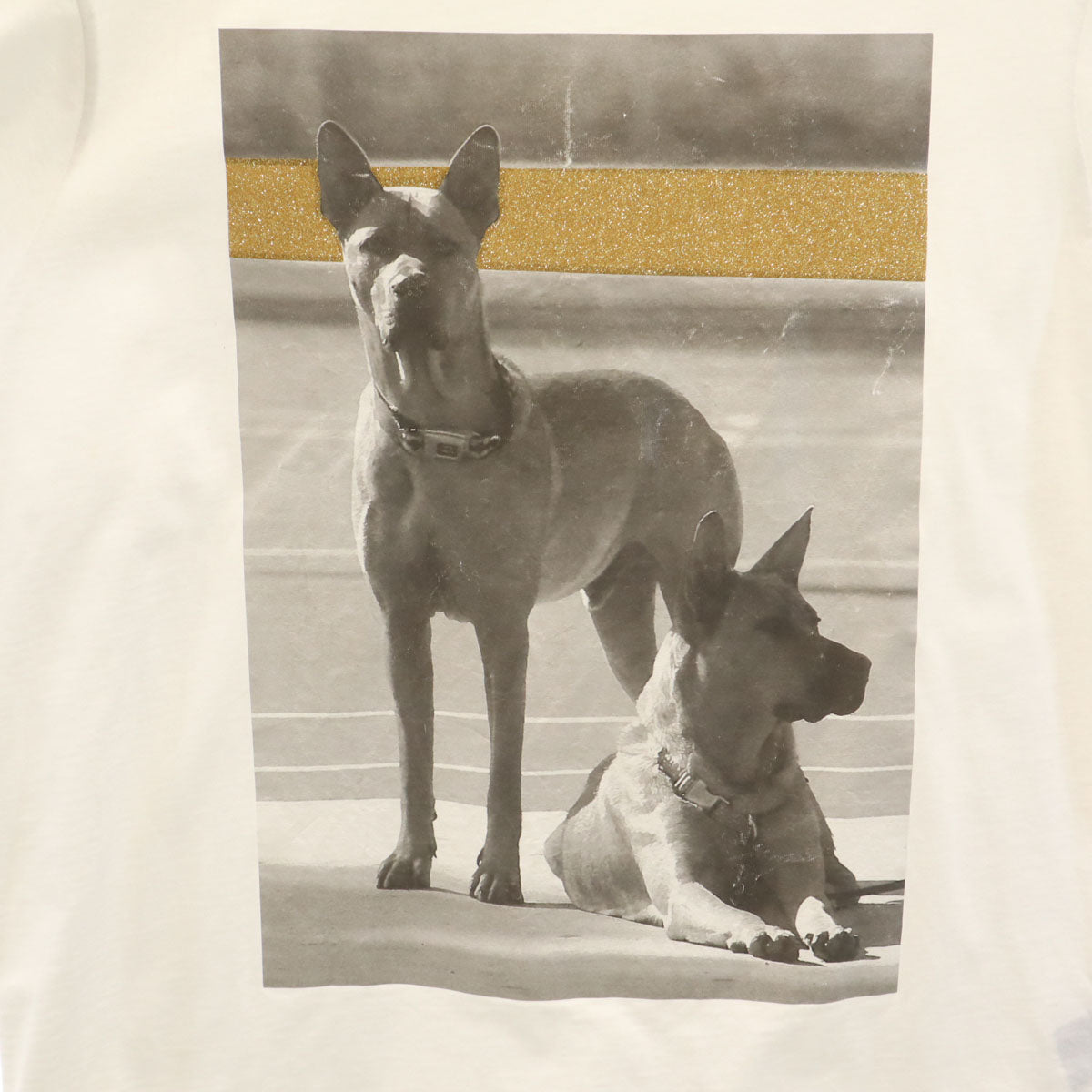 Palm Angels パームエンジェルス 半袖 Tシャツ M 白 ドーベルマン メンズ