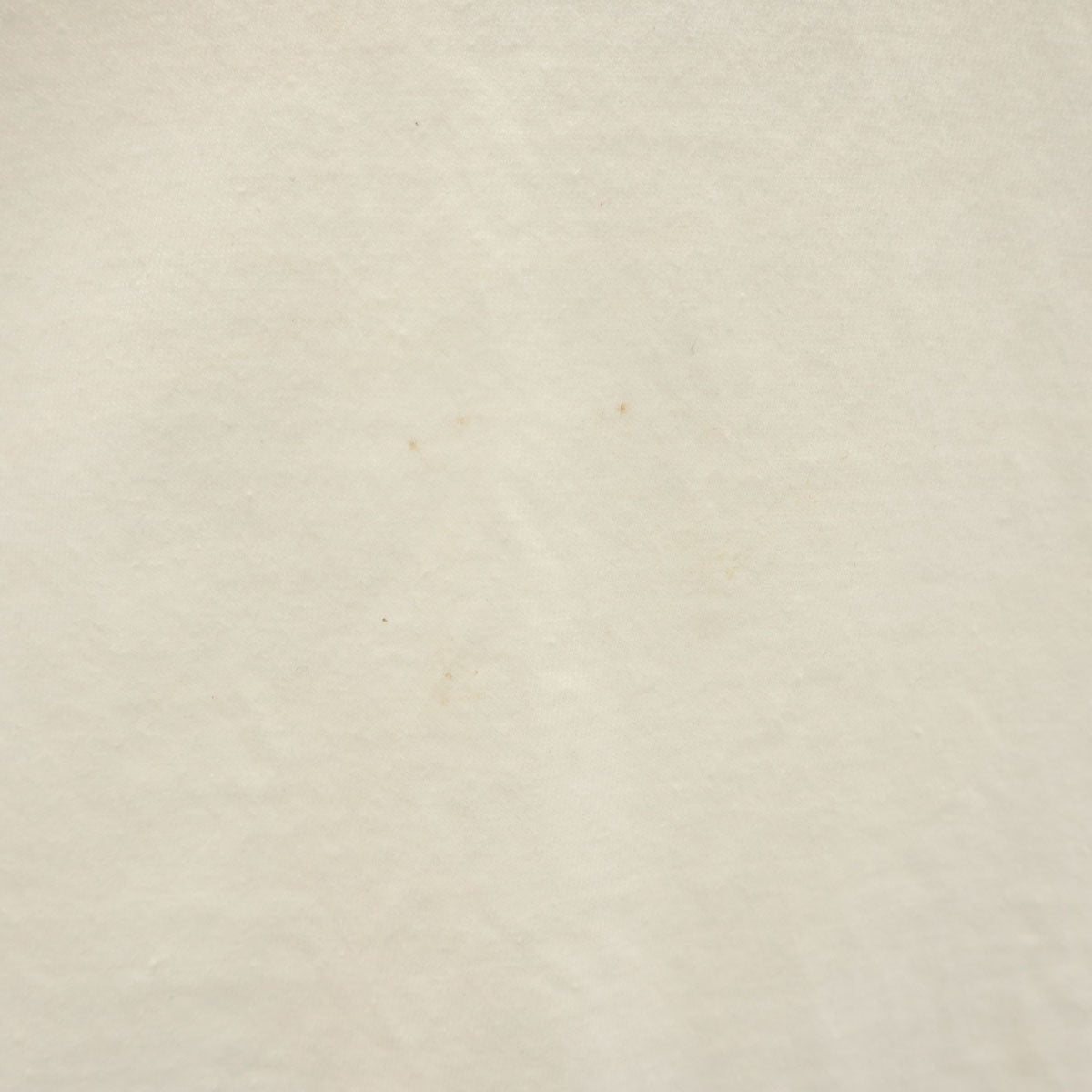 90s オールド バックプリント CANCUN イルカ 半袖 Tシャツ ホワイト シングルステッチ メンズ