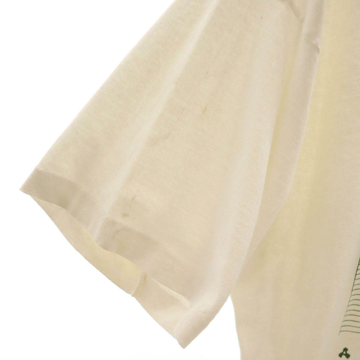 FRUIT OF THE LOOM フルーツオブザルーム 90s USA製 オールド 半袖 Tシャツ XL 白 ドラゴン シングルステッチ メンズ