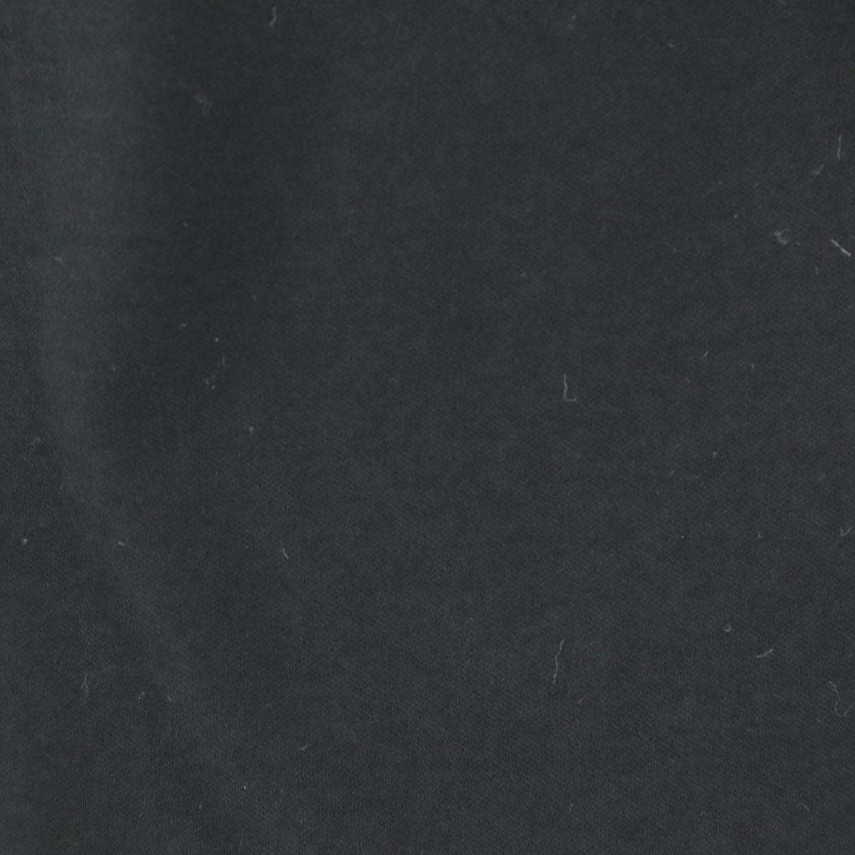 VIVIENNE TAM ヴィヴィアンタム 日本製 レース柄 半袖 Tシャツ 40 ブラック レディース