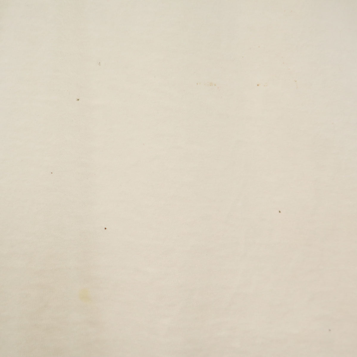 ALORE アローレ 90s USA製 オールド ミシガン ドッグプリント 半袖 ロング Tシャツ OS ホワイト シングルステッチ 犬 レディース