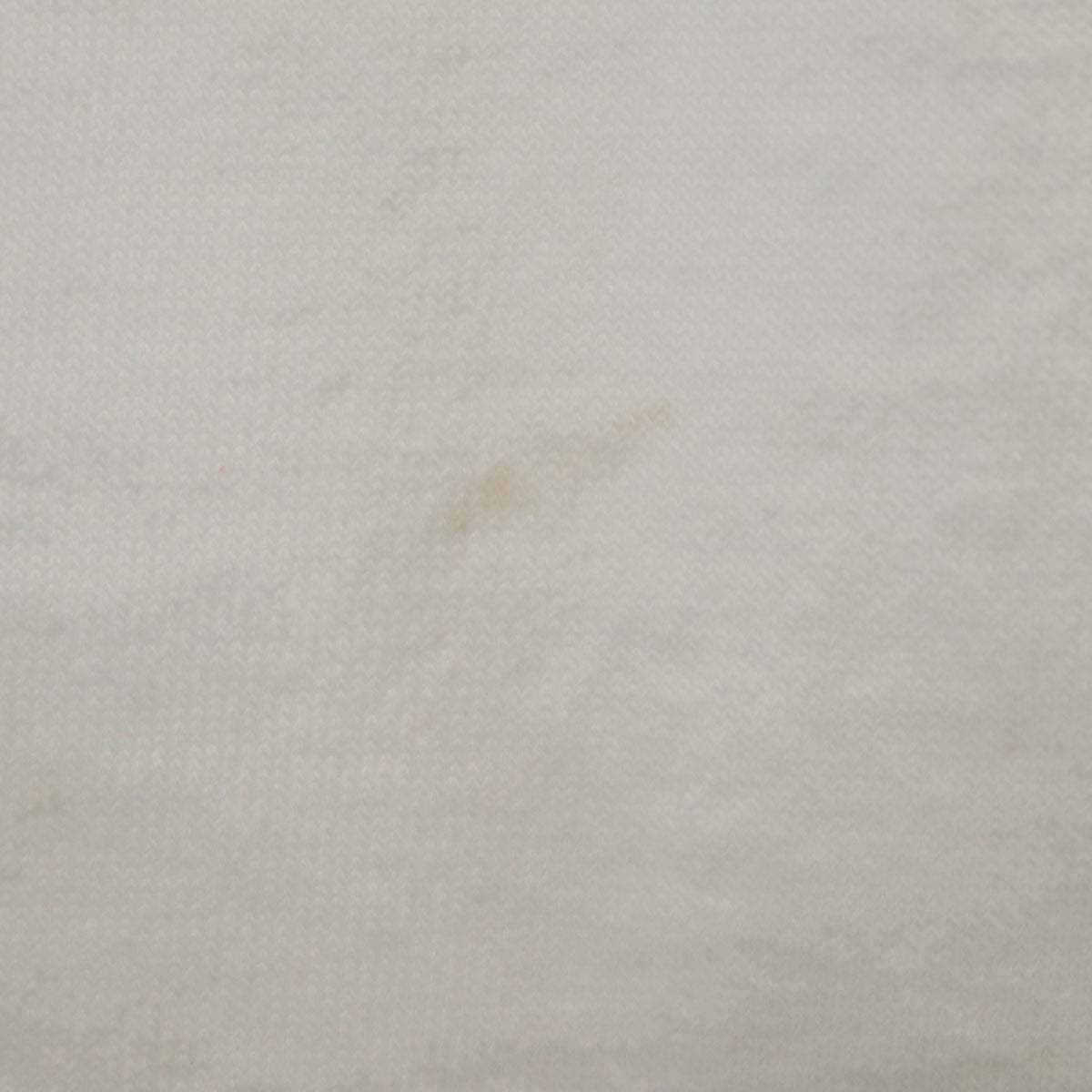 90s オールド クジラ プリント 半袖 Tシャツ ホワイト シングルステッチ メンズ