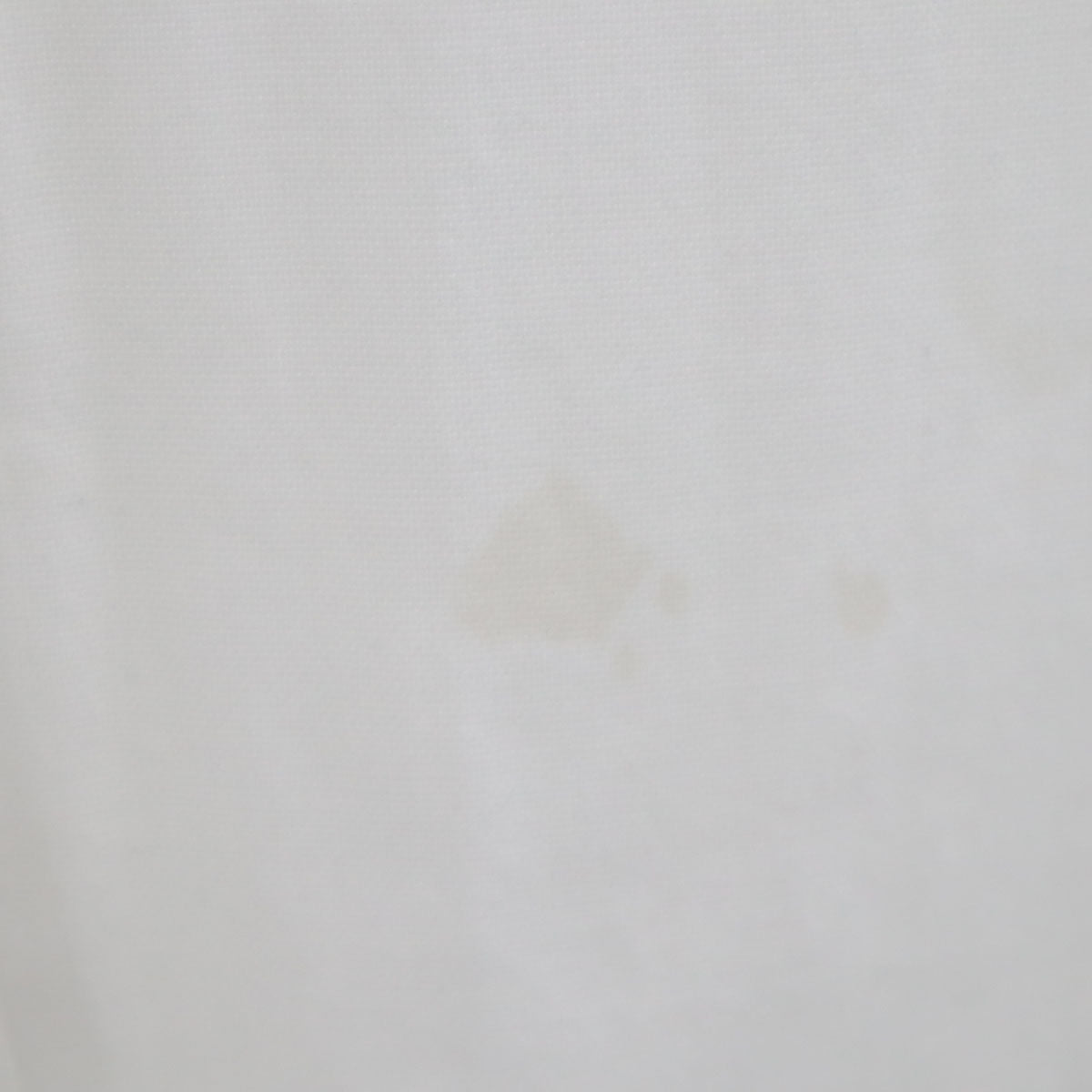 theory セオリー 日本製 パンツ 10 白 ストレッチ レディース