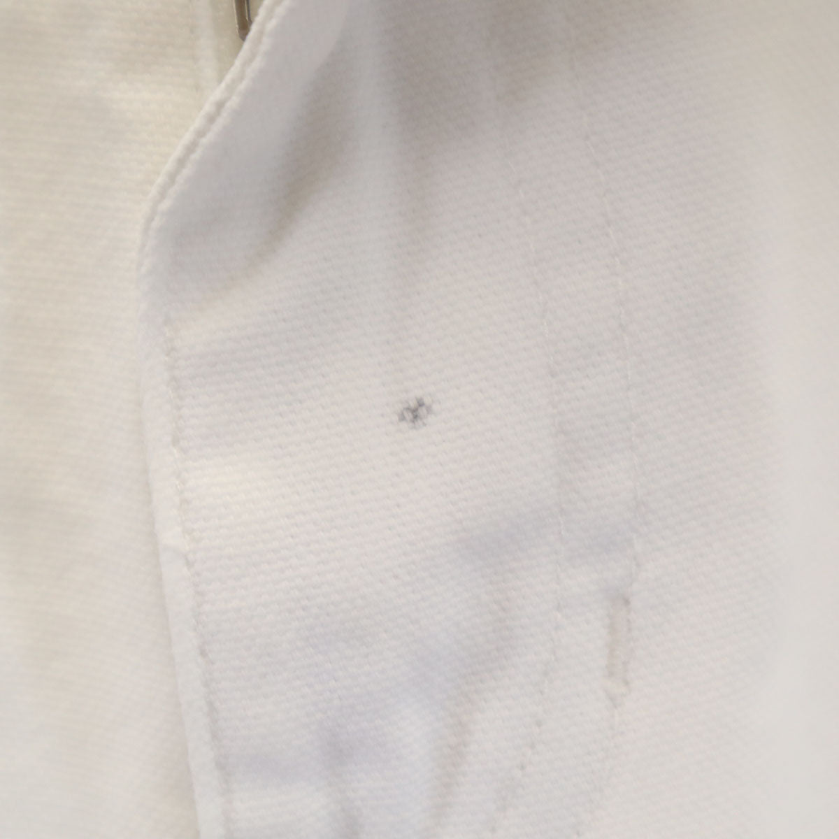 STUSSY ステューシー ダブルニー ペインターパンツ 5 ホワイト メンズ