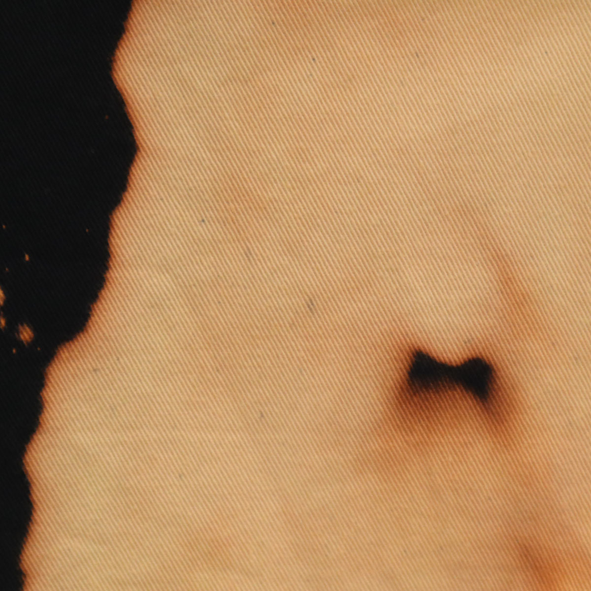 XLARGE エクストララージ 総柄 ペインターパンツ w32 ブラック系 メンズ