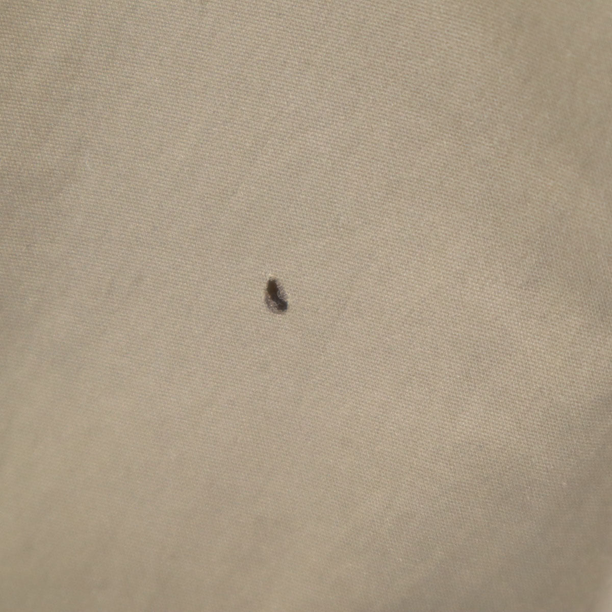 THE NORTH FACE ノースフェイス インサレーテッド パンツ M ベージュ NTW57159 アウトドア 中綿 レディース