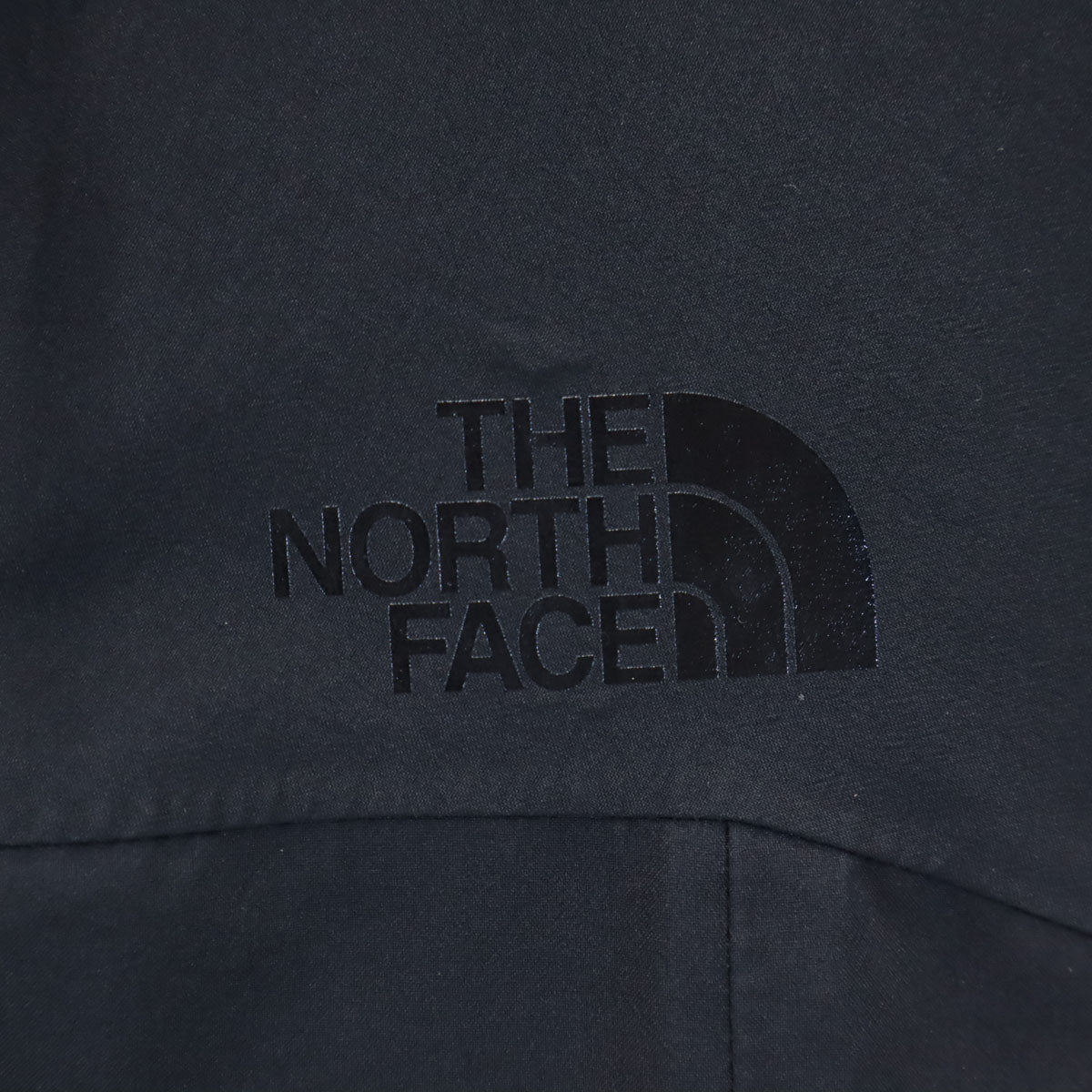 THE NORTH FACE ザノースフェイス GORE-TEX ナイロンジャケット M ブラック フーディー NPW61961 アウトドア レディース