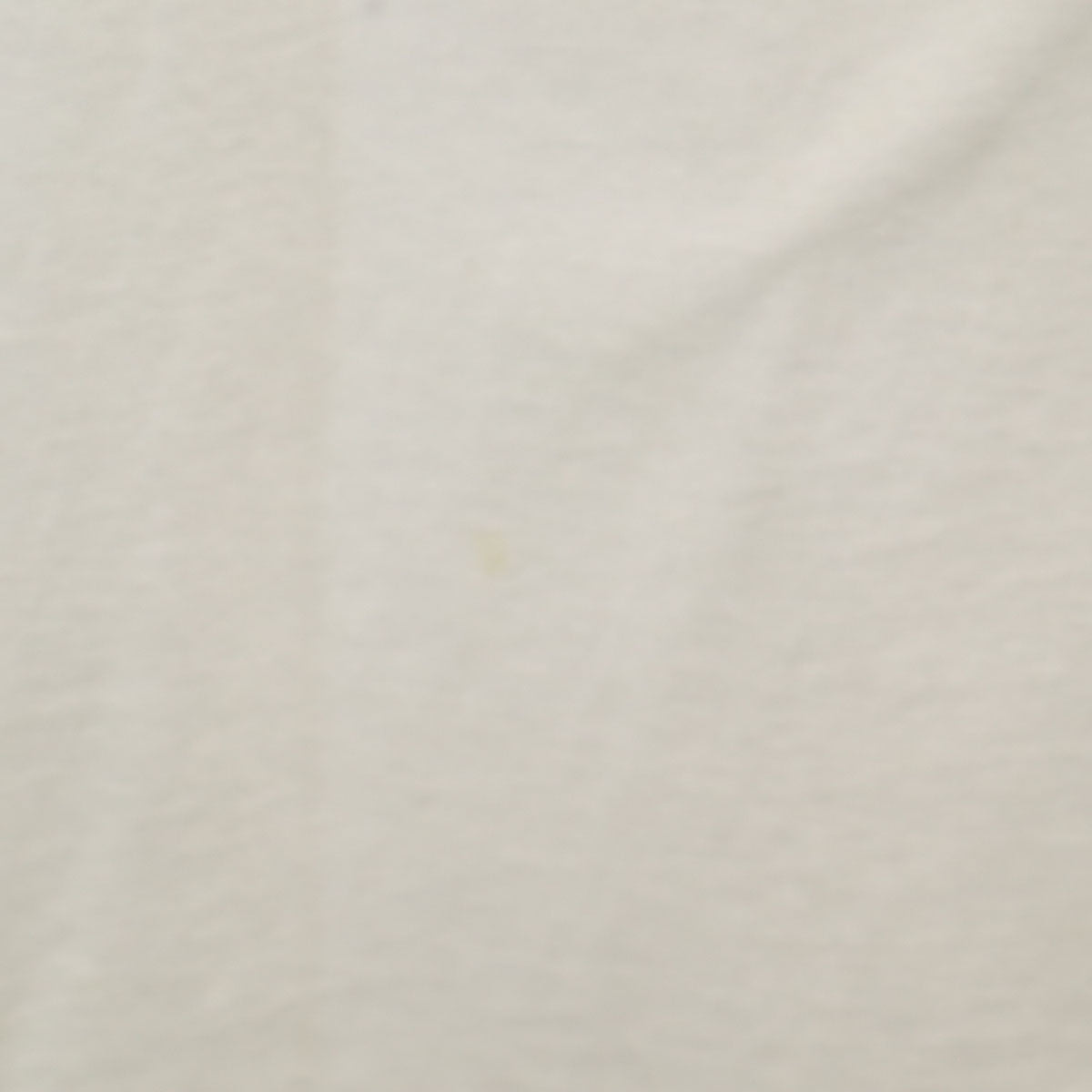 COMMON THREADS 90s USA製 オールド 半袖 ロング Tシャツ ONE SIZE ホワイト ビッグサイズ シングルステッチ メンズ