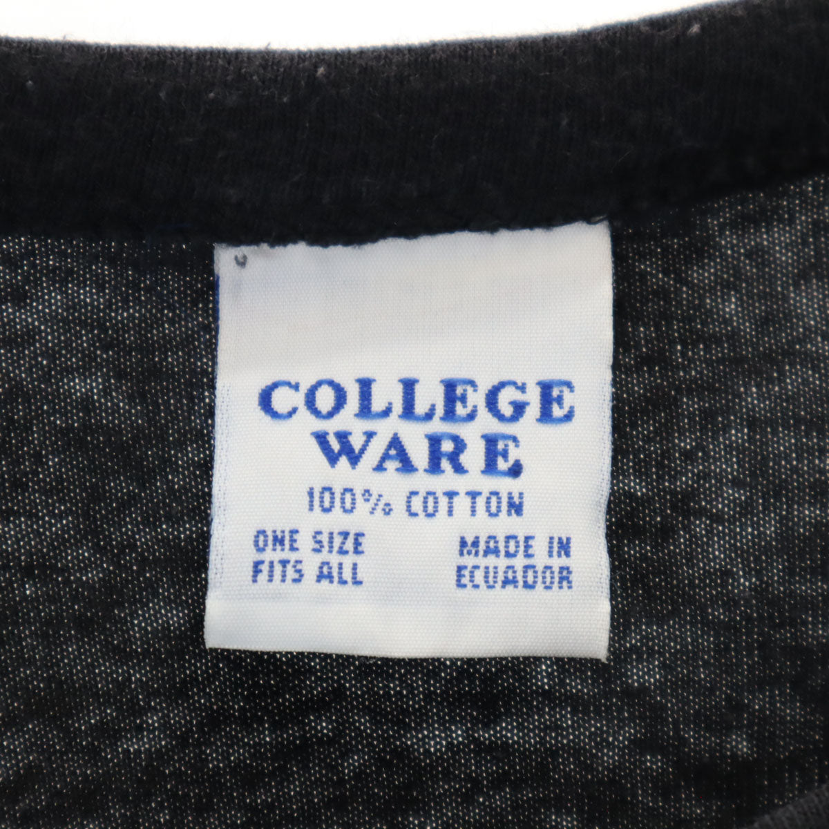 COLLEGE WARE ベティーブープ 半袖 ワンピース ONE SIZE ブラック サンタクロース BETTY BOOP キャラT ビッグサイズ レディース