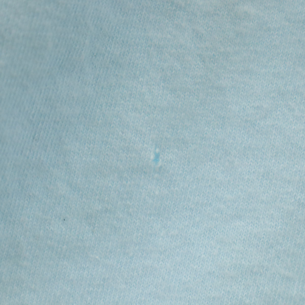 Six Flags 90s USA製 オールド ルーニーテューンズ トゥイーティー 半袖 ワンピース ONE SIZE 水色 シングルステッチ レディース