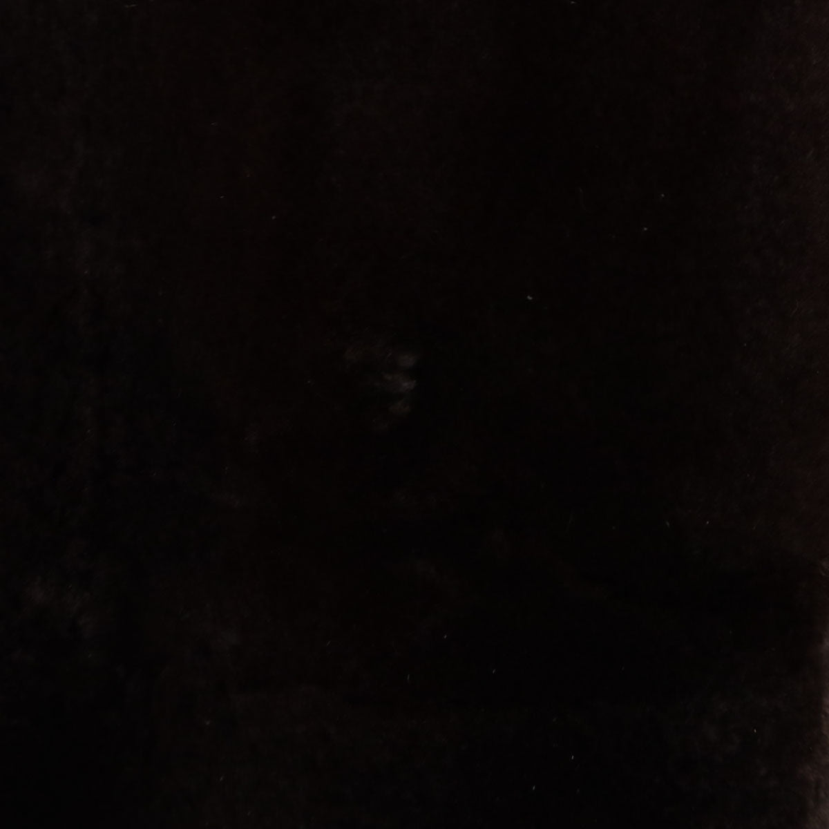 SAGA MINK サガミンク 毛皮コート F ブラウン系 レディース