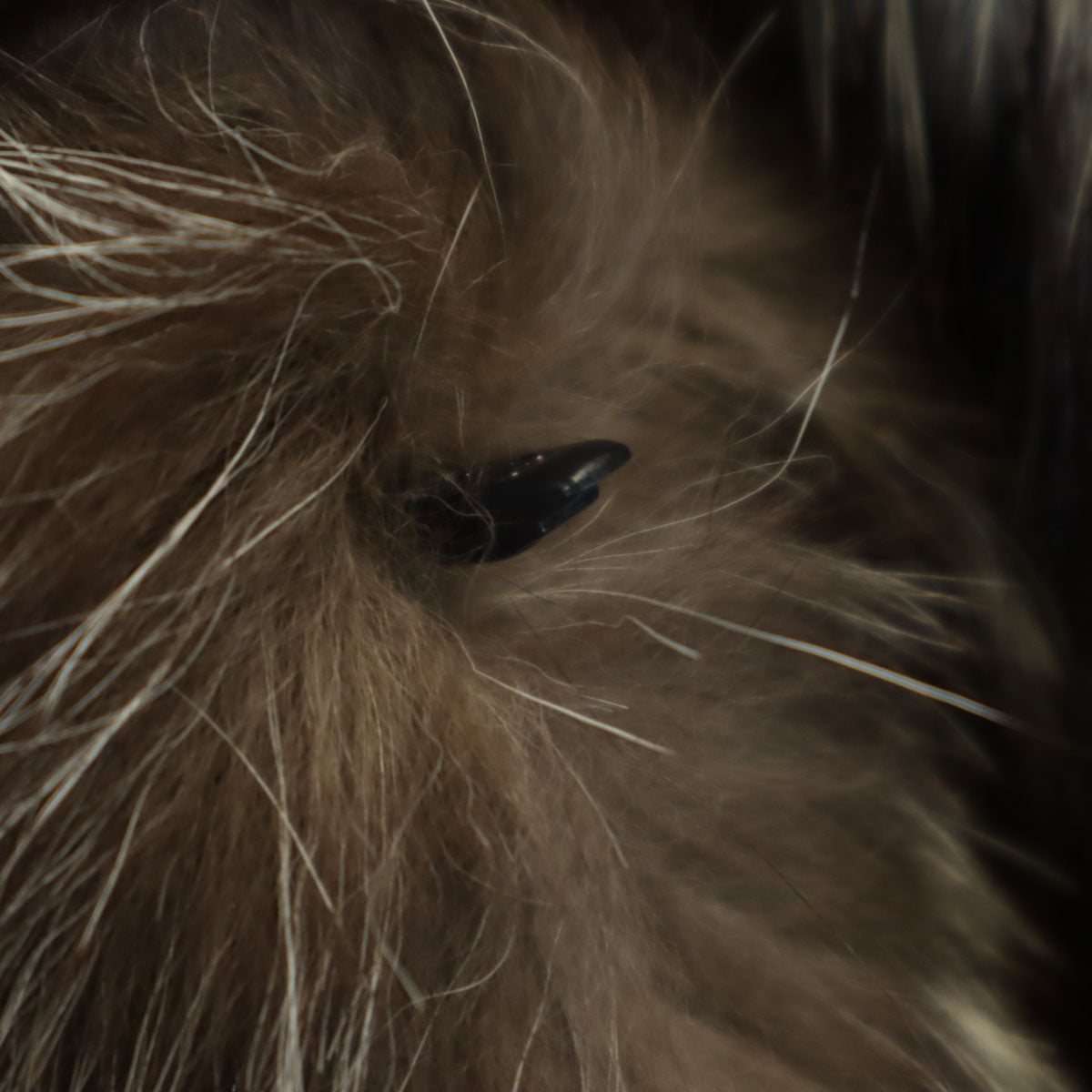 美品 SAGA FOX サガフォックス 毛皮コート F ブラウン レディース