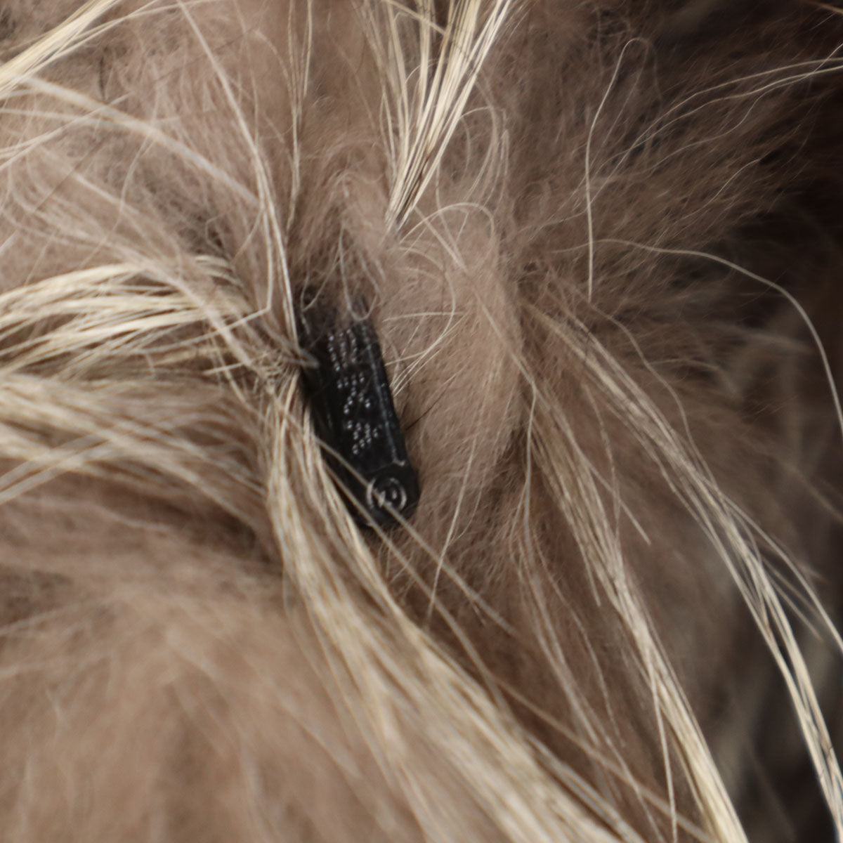 美品 EMBA エンバ シルバーフォックス 毛皮コート 11 ブラウン レディース