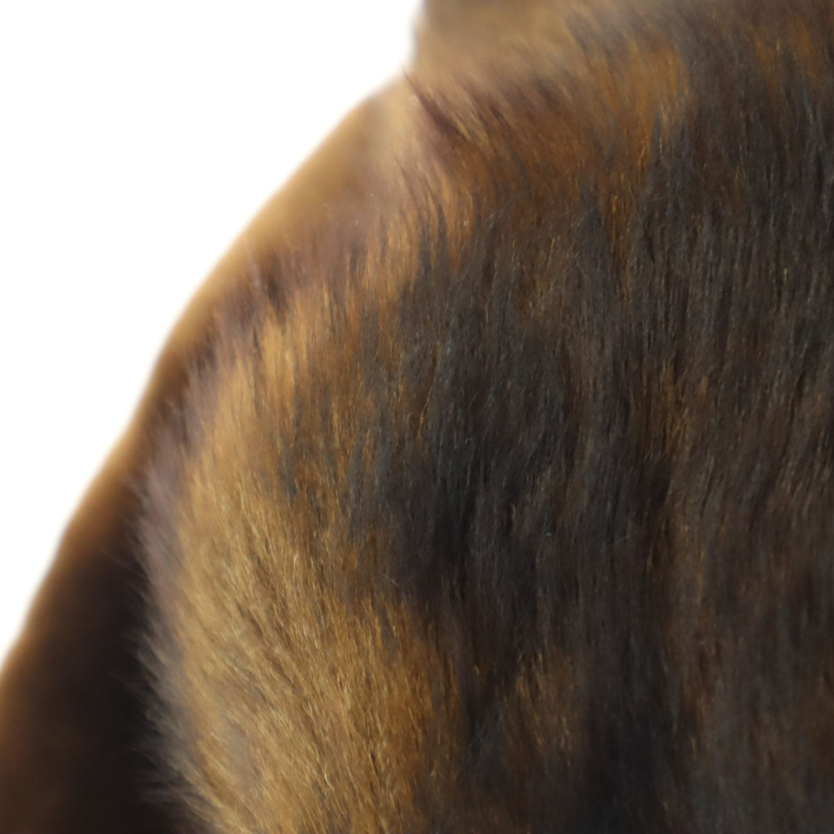 TANNIMPEX ハンガリー製 長袖 リアル ファーコート 7 ブラウン レディース