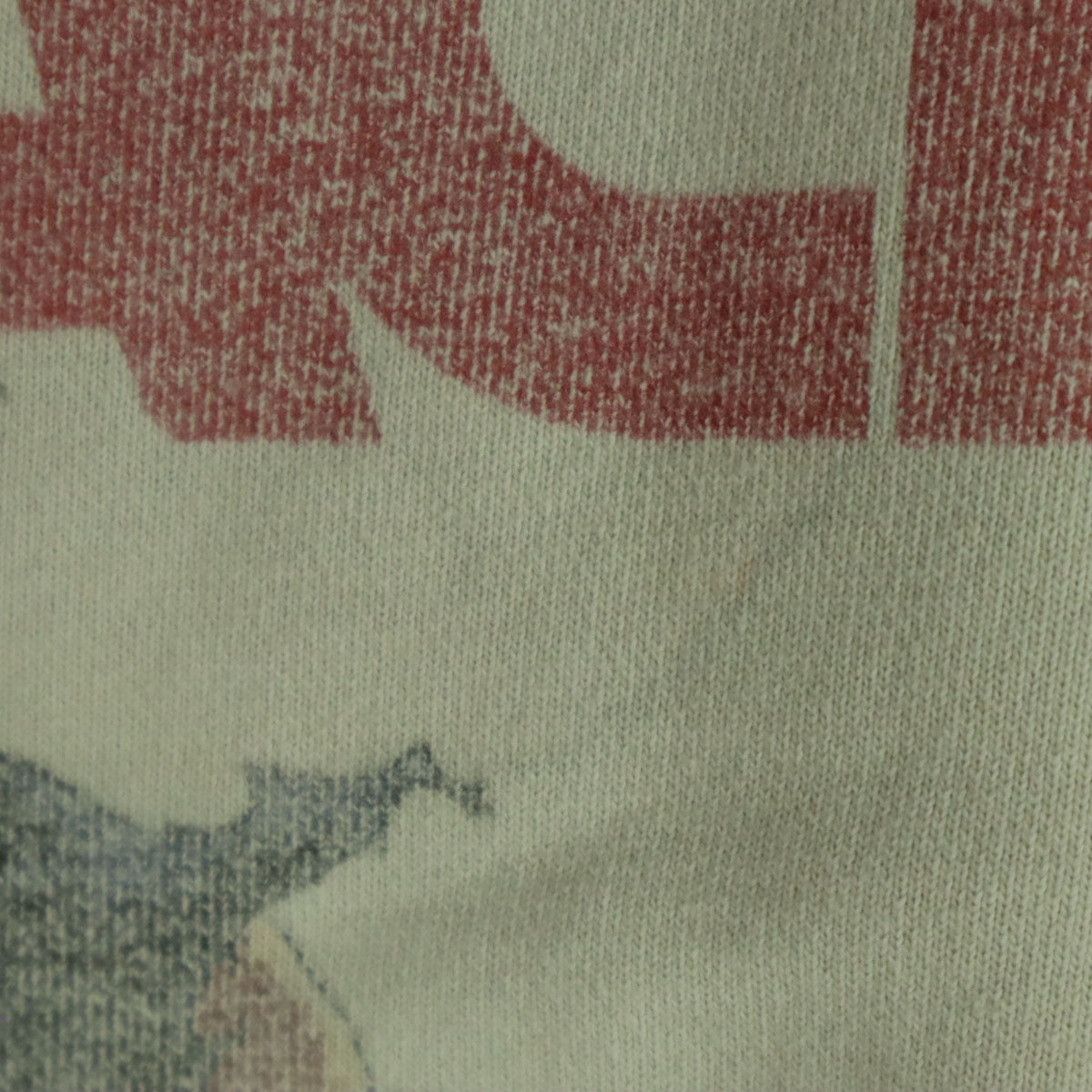 THE SUGAR PUNCH ザシュガーパンチ バックプリント アニメキャラクター 長袖 スウェットパーカー L ホワイト系 BLEACH 黒崎一護 メンズ