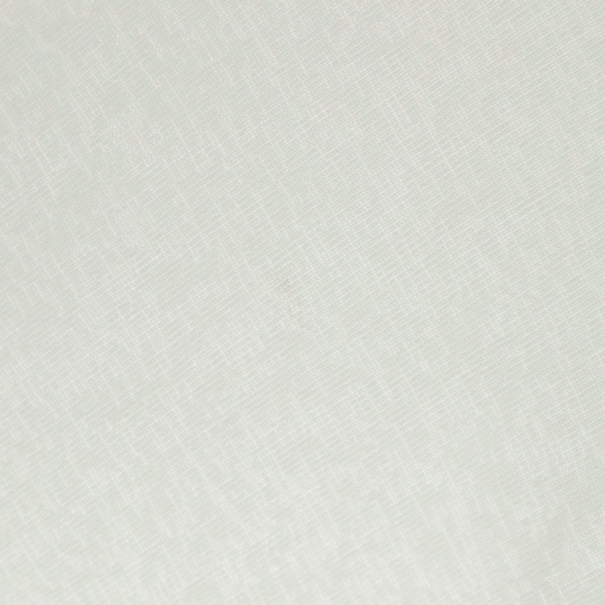 GEORGES ジョージズ 半袖 オフショルダー シアー Tシャツ F ホワイト レディース