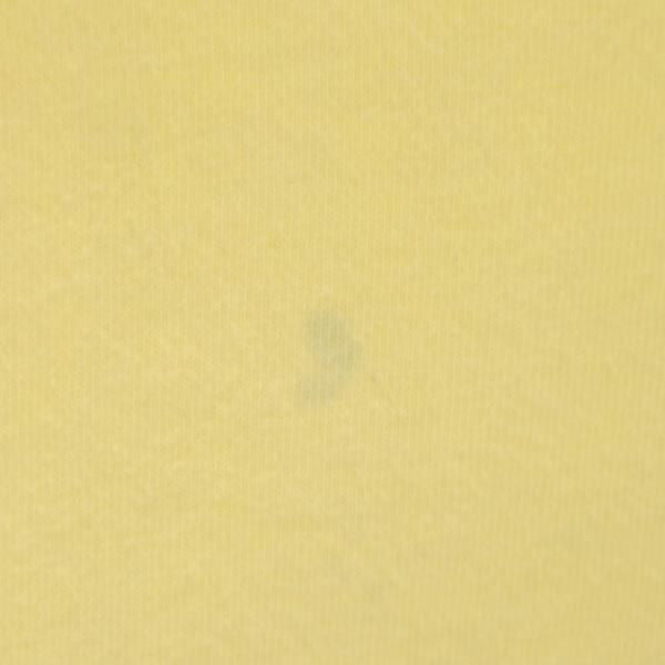 ポロラルフローレン ロゴ刺繍 半袖 Tシャツ M イエロー POLO RALPH LAUREN メンズ