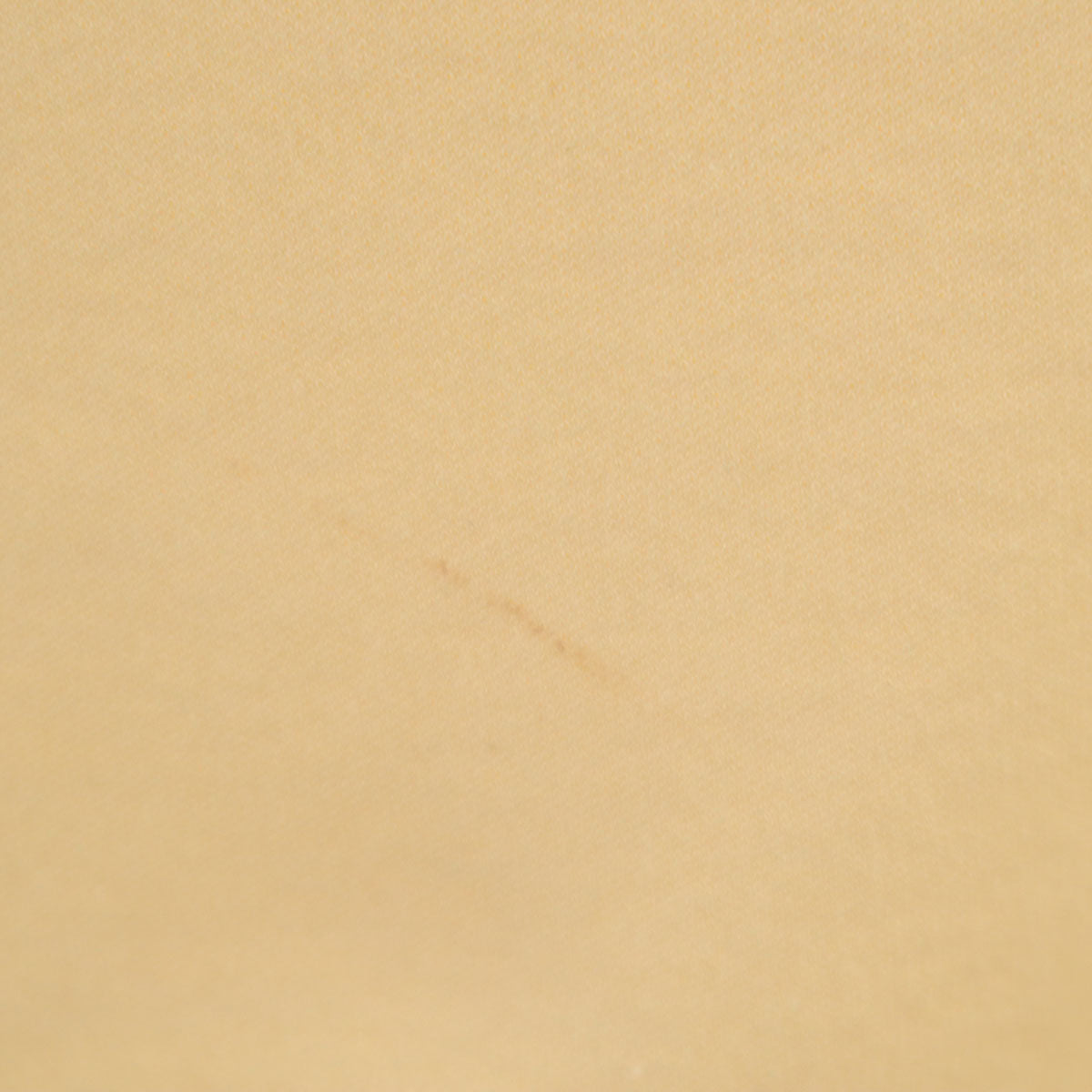 MARNI マルニ イタリア製 ミモレ丈 ボンディング フレアスカート 36 生成り レディース