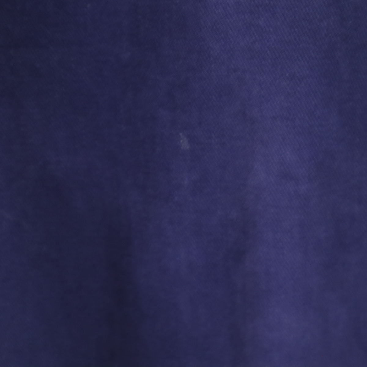 Levi's リーバイス ビッグE ハーフパンツ 紺紫 TALONジップ レディース