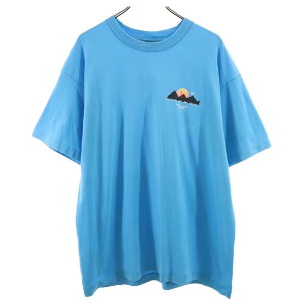 SCREEN STARS BEST スクリーンスターズベスト 90s USA製 オールド バックプリント 半袖 Tシャツ XL ブルー系 メンズ