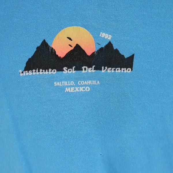 SCREEN STARS BEST スクリーンスターズベスト 90s USA製 オールド バックプリント 半袖 Tシャツ XL ブルー系 メンズ