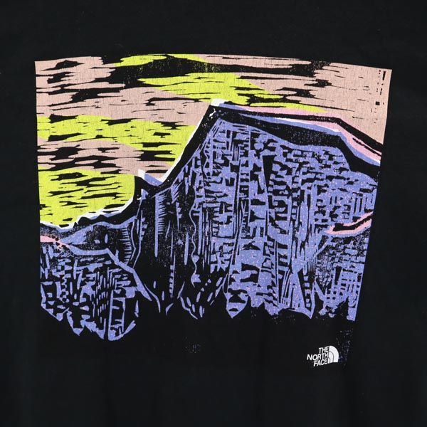 THE NORTH FACE ザノースフェイス 日本製 NT3128T プリント 半袖 Tシャツ WS 黒 ユニセックス アウトドア メンズ