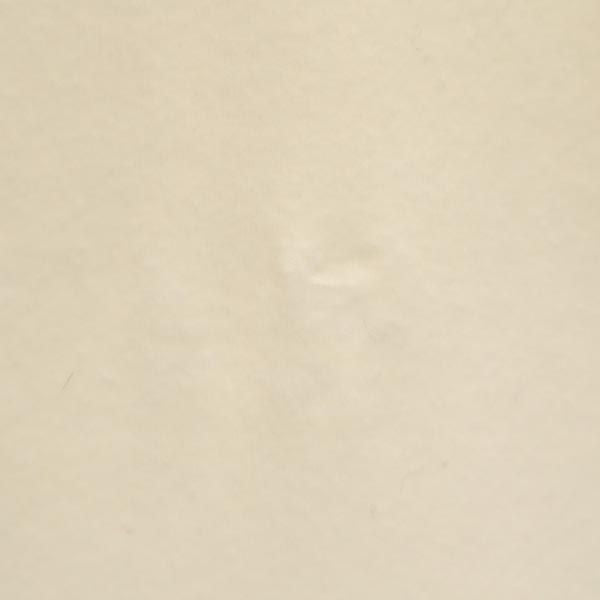 ルシアンペラフィネ 半袖 Tシャツ M ベージュ系 Lucien Pellat-Finet レディース