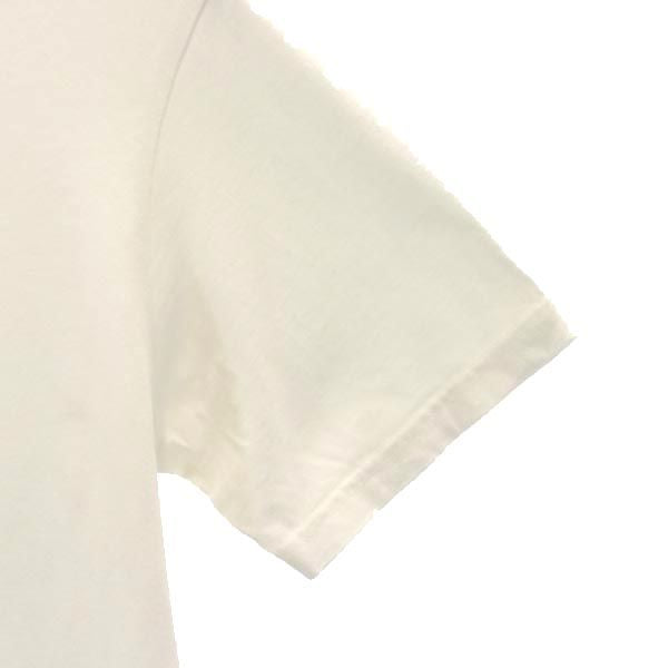 patagonia パタゴニア プリント 半袖 Tシャツ XS ホワイト系 アウトドア メンズ