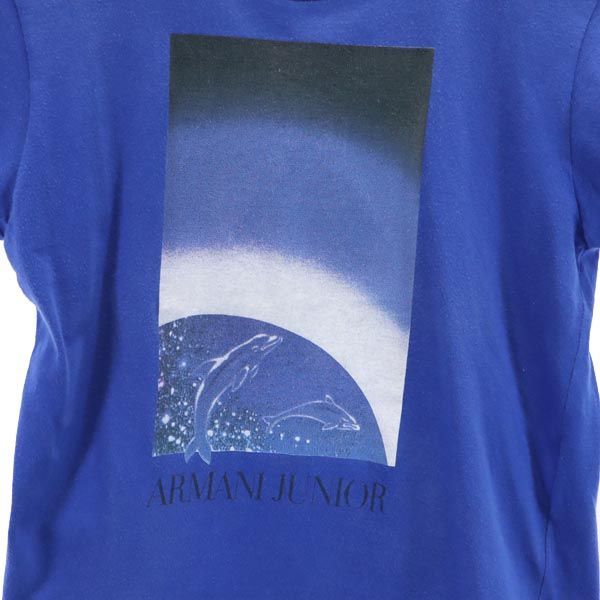 ARMANI JUNIOR アルマーニジュニア 半袖 Tシャツ 2 ブルー系 キッズ