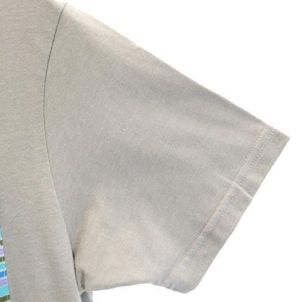 patagonia パタゴニア アウトドア 半袖 Tシャツ XS グレー スリムフィット SLIM FIT ポケT メンズ
