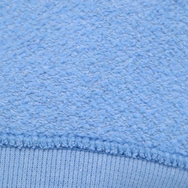 RUSSELL ATHLETIC ラッセルアスレチック 長袖 トレーナー L ブルー系 裏起毛 スウェット メンズ