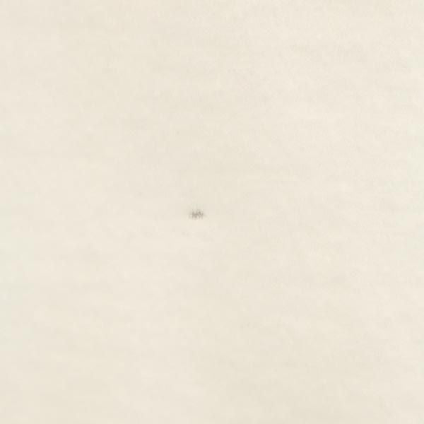 A BATHING APE アベイシングエイプ 日本製 長袖 Tシャツ S ホワイト系 ロンT メンズ