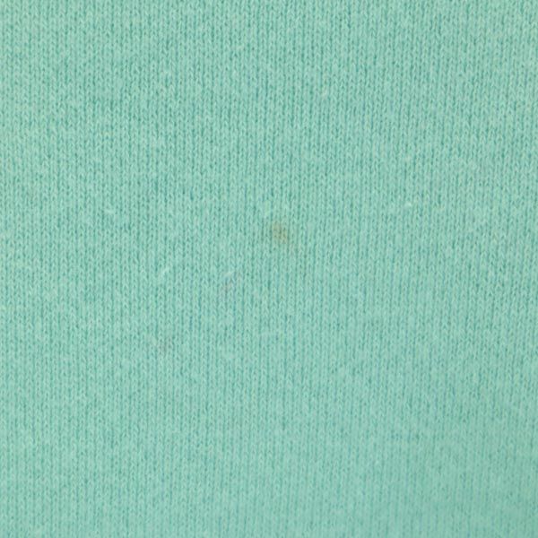 STUSSY ステューシー 日本製 プリント 長袖 スウェット トレーナー S 緑系 レディース